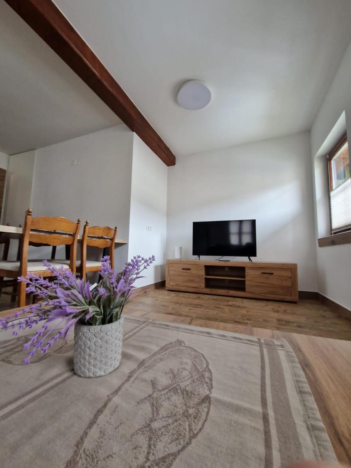 Haus-Ennstal Apartment Oblarn Ngoại thất bức ảnh